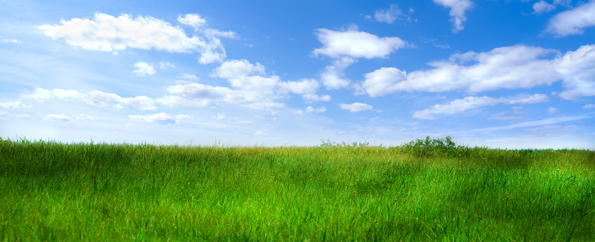 Banner - Hottgenroth Software GmbH & Co. KG